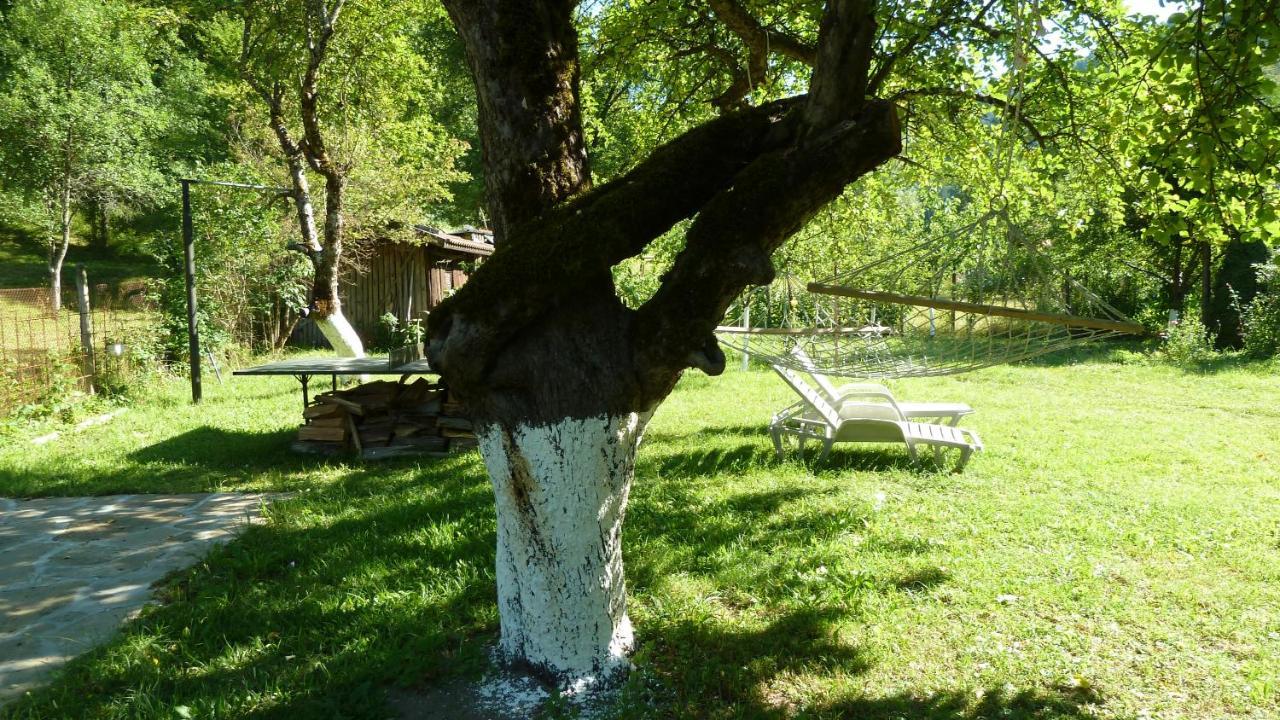 Вила Даяна Ribarica Exterior foto